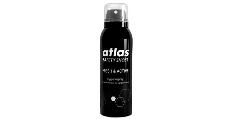 Shoe disinfection spray FRESH & ACTIVE spray can 150 ml