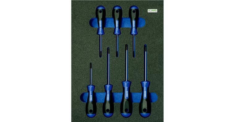 TORX®-Schraubendreher-Satz mit Bohrung 7tlg in OPT-I-STORE Einlage 260x345x30mm