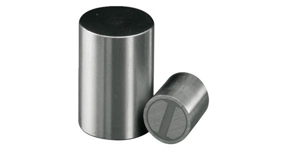 Bar grip magnet dia. 8mm 25N tolerance h6 neodymium (NdFeB) shielded, max. 80°C