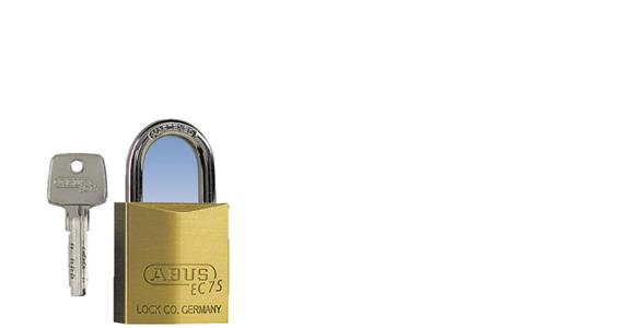 Precision cylinder padlock 40x16x61 mm, keyed to differ