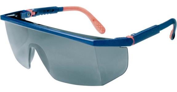 Schutzbrille MAX A1 Scheibe grau