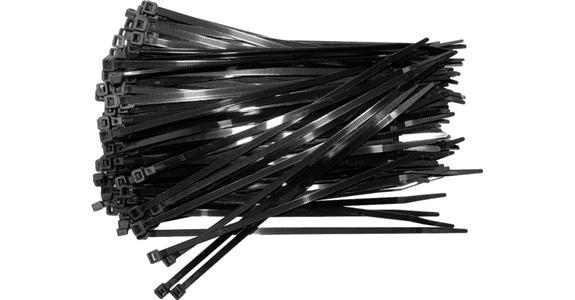 Kabelbinder Polyamid innenverzahnt 282x4,8 mm Pack=100 St., schwarz