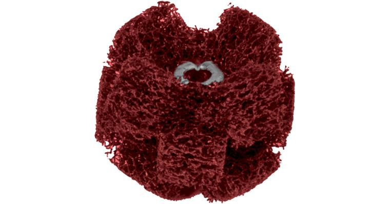 ATORN non-woven abrasive star dia. 25 mm, 2 layers, grit A very fine