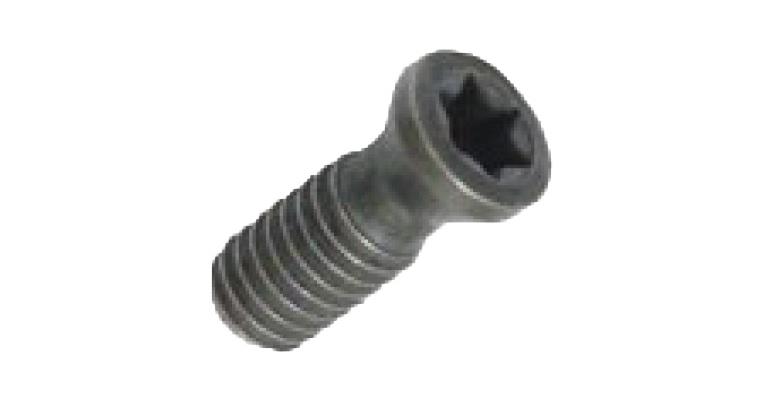 LIZZARD Spannschraube Spannpratze 02STX3513