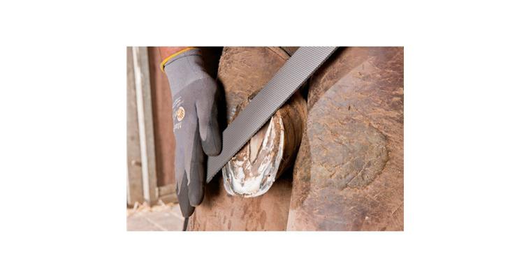 Hufhobel Flachstumpf 350mm Planhobeln und Feinbearbeitung der Hufe